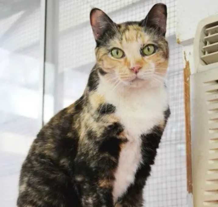 Photo of Frannie