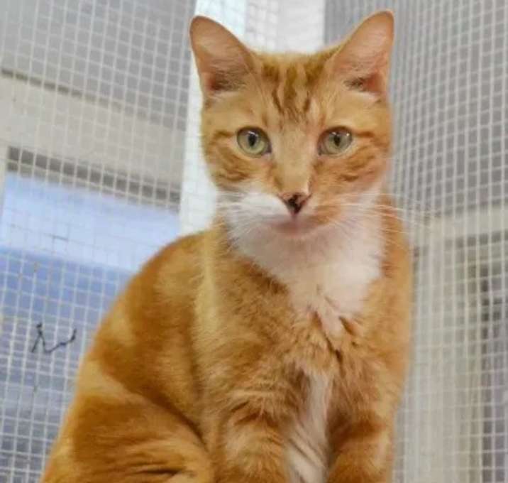 Photo of Redford