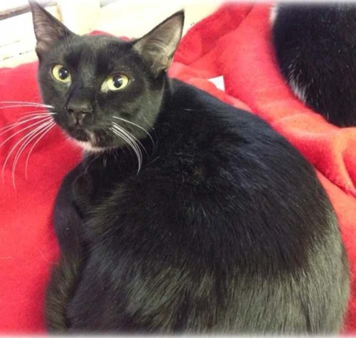 Photo of Nellie