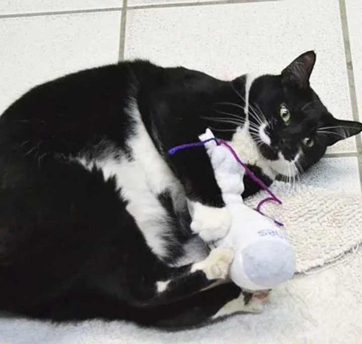 Photo of Tracy