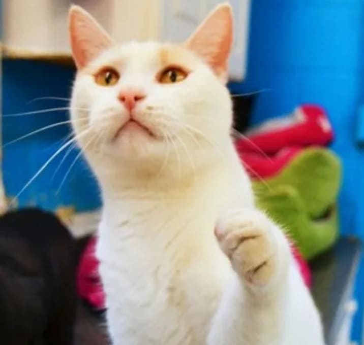 Photo of Oliver