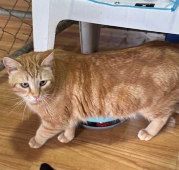 Photo of Twix
