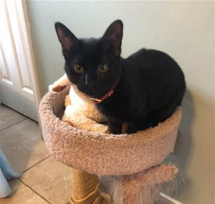 Photo of Peaches C Cream
