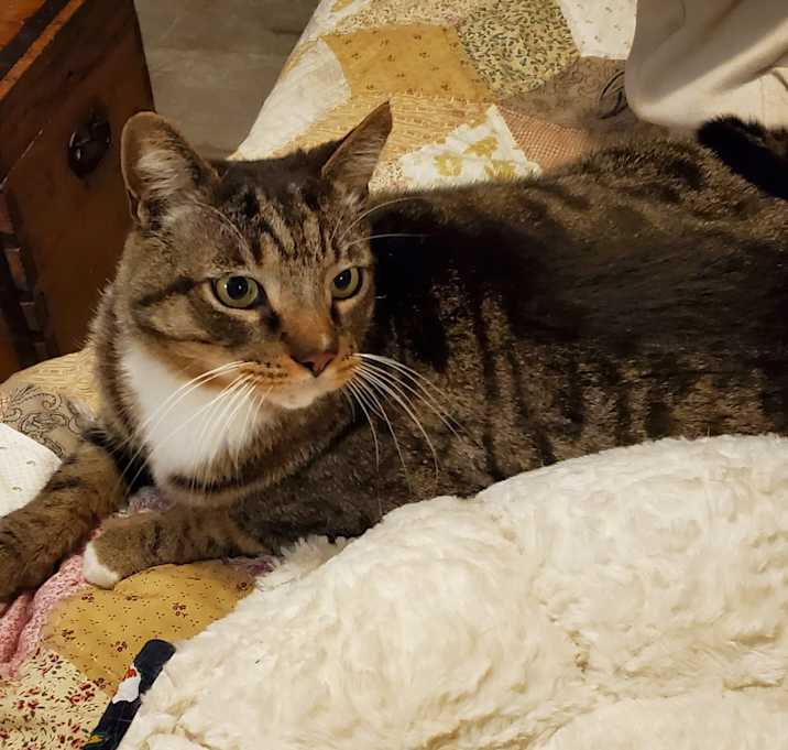 Photo of Mr. Tarzan