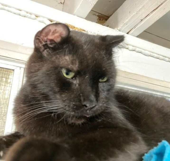 Photo of Robert