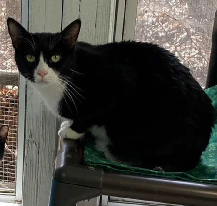 Photo of Sassy