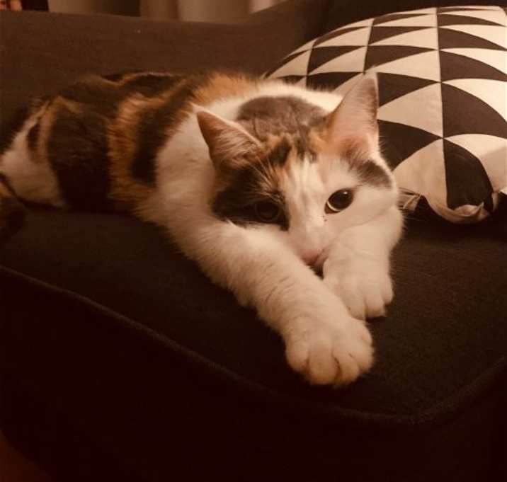 Photo of Charlotte