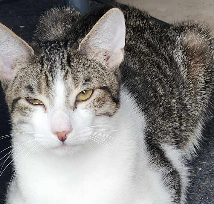 Photo of Murphy