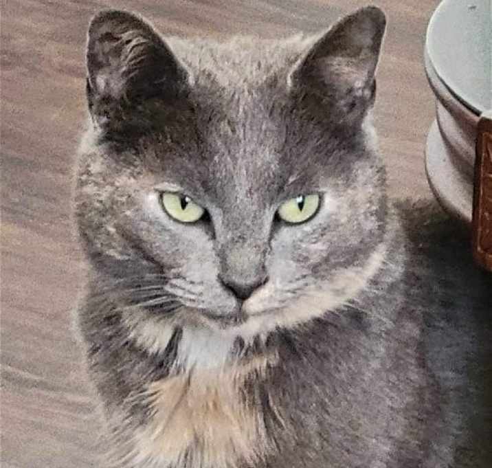 Photo of Graycie