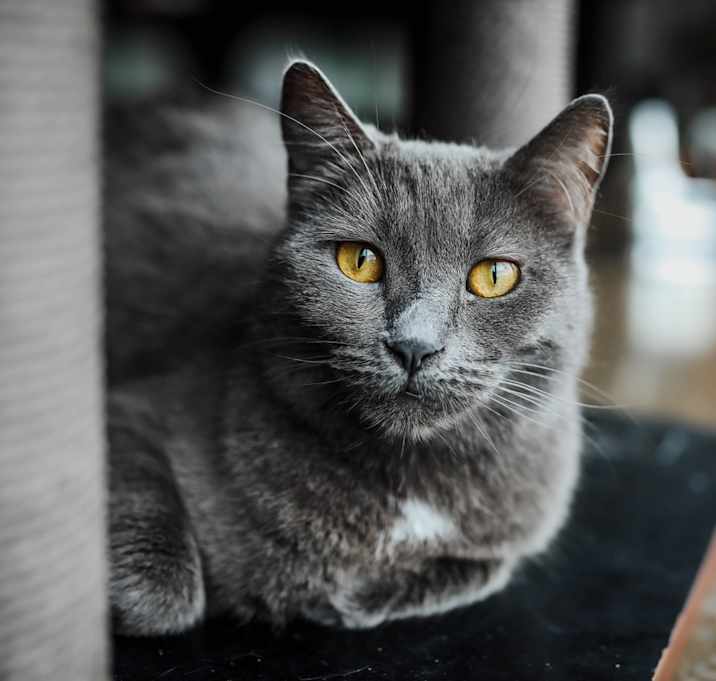 Photo of Carley