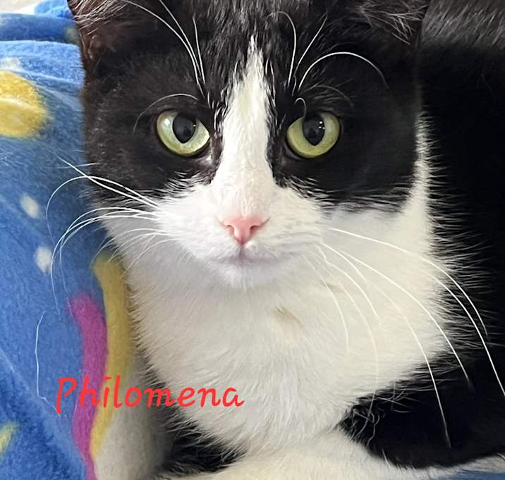 Photo of Philomena