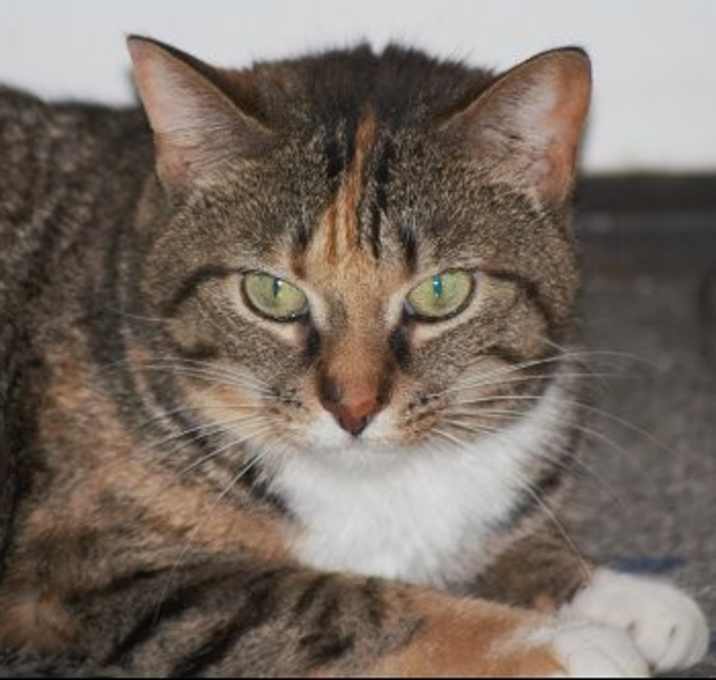 Photo of Zena