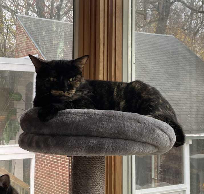 Photo of Sushi