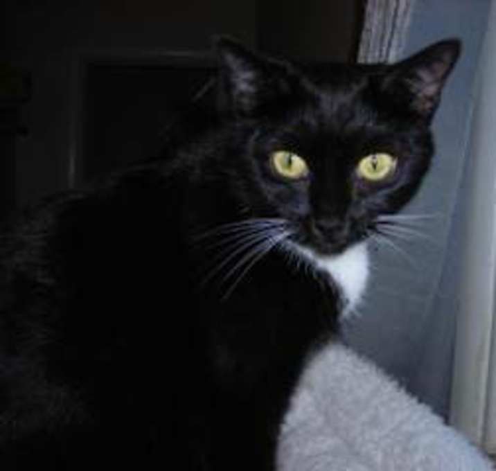 Photo of Miss Mary