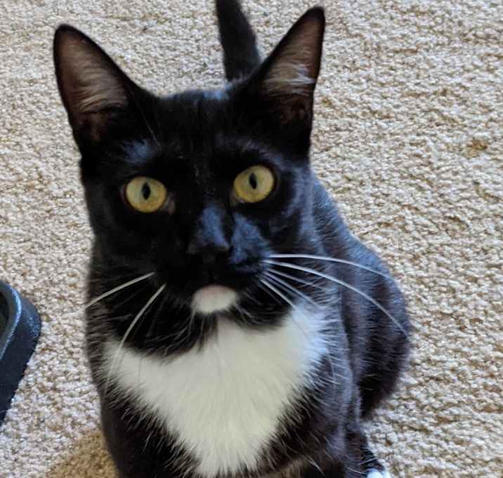 Photo of Tilly