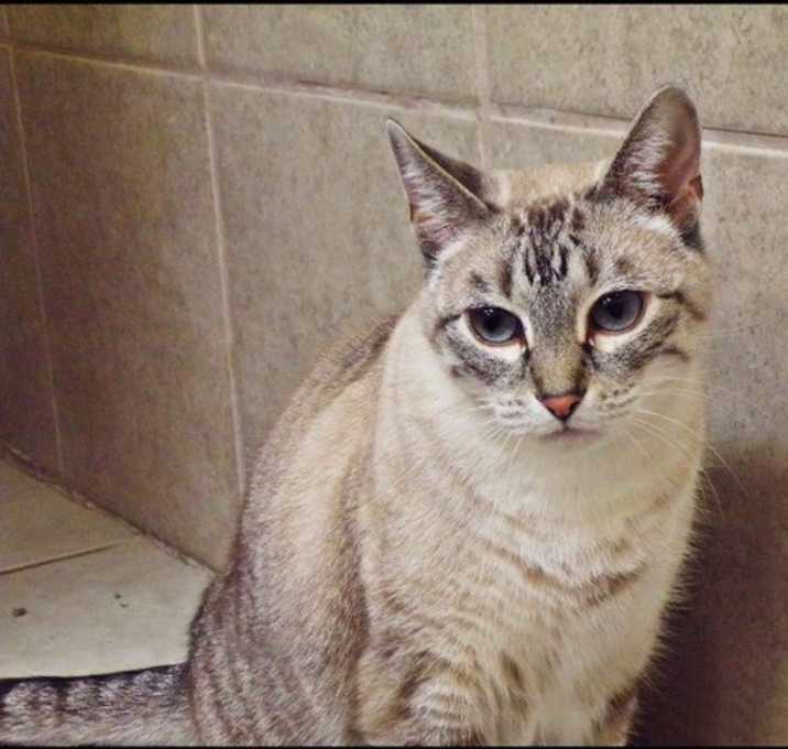 Photo of Baby