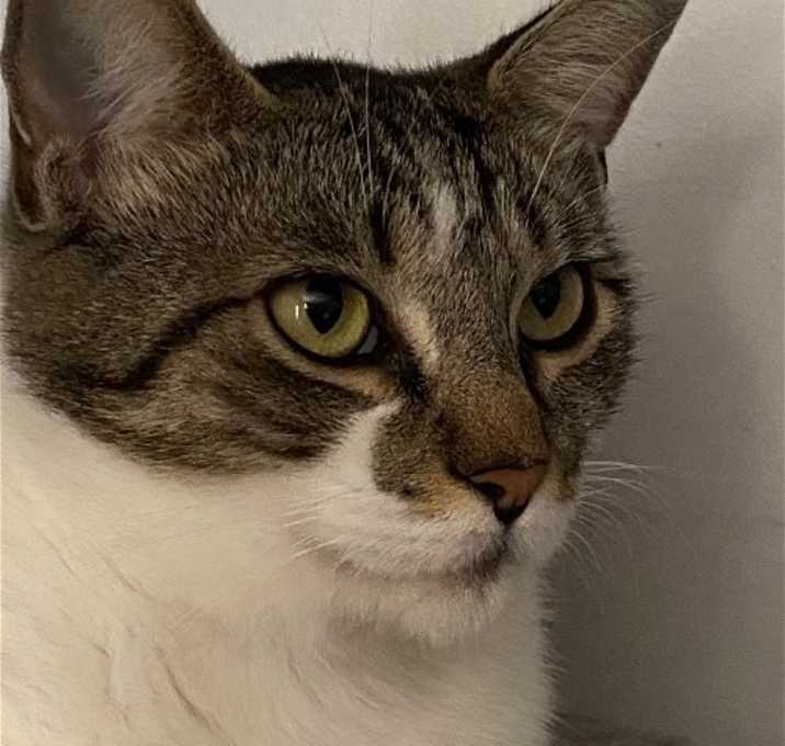 Photo of Fee Bee