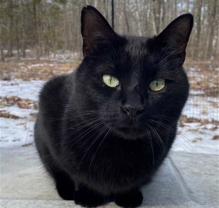 Photo of Leeroy