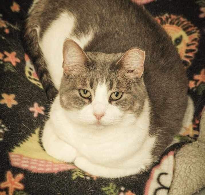 Photo of Hallie