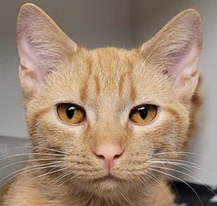 Photo of Charlotte