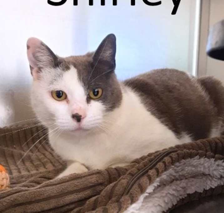 Photo of Shirley
