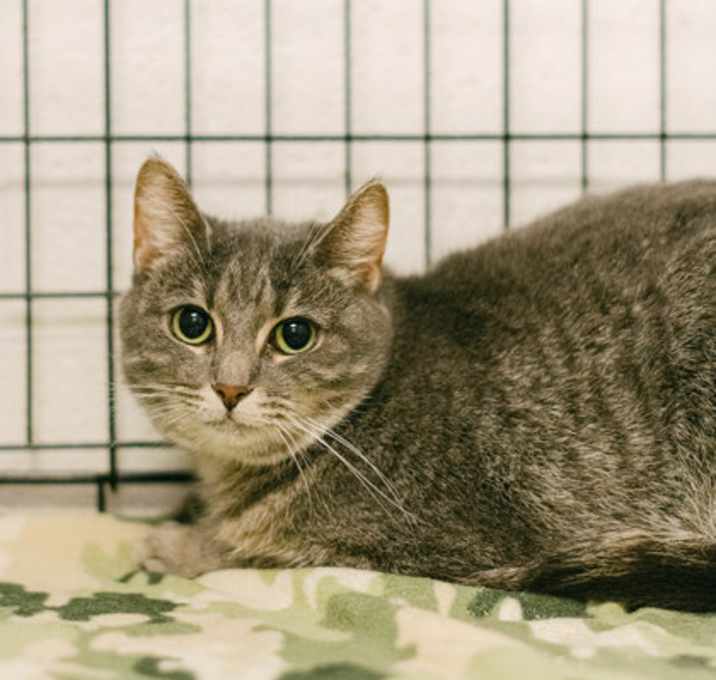 Photo of Dumplin