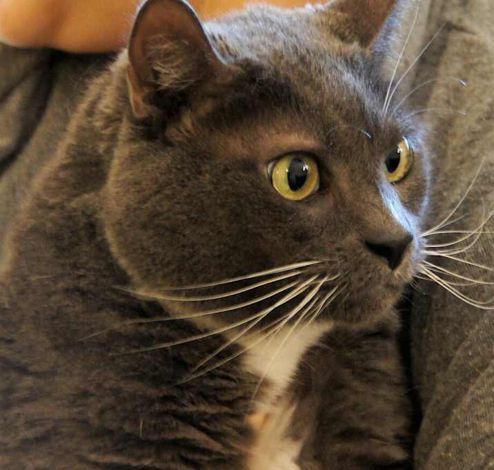 Photo of Charlie