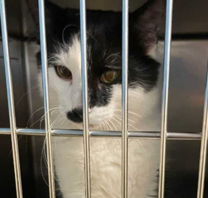 Photo of Maverick