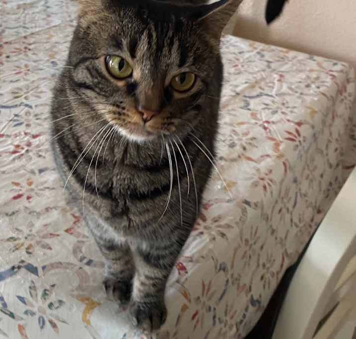 Photo of Molly