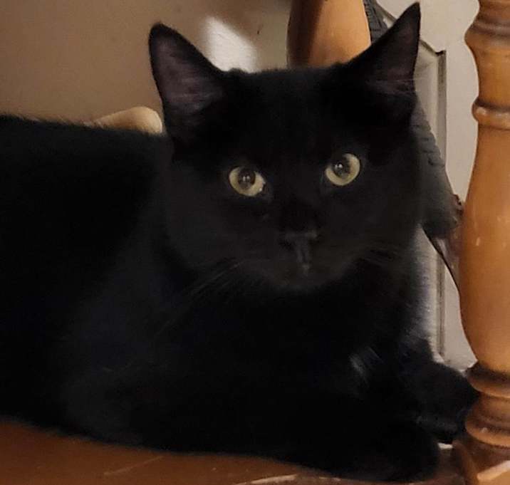 Photo of Vanessa