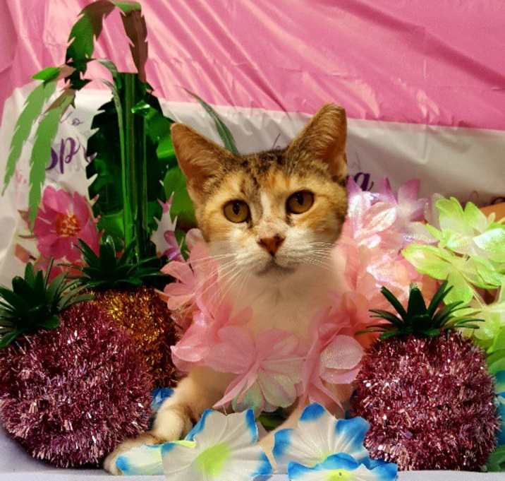 Photo of Thelma