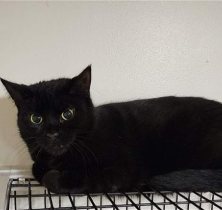 Photo of Mookie
