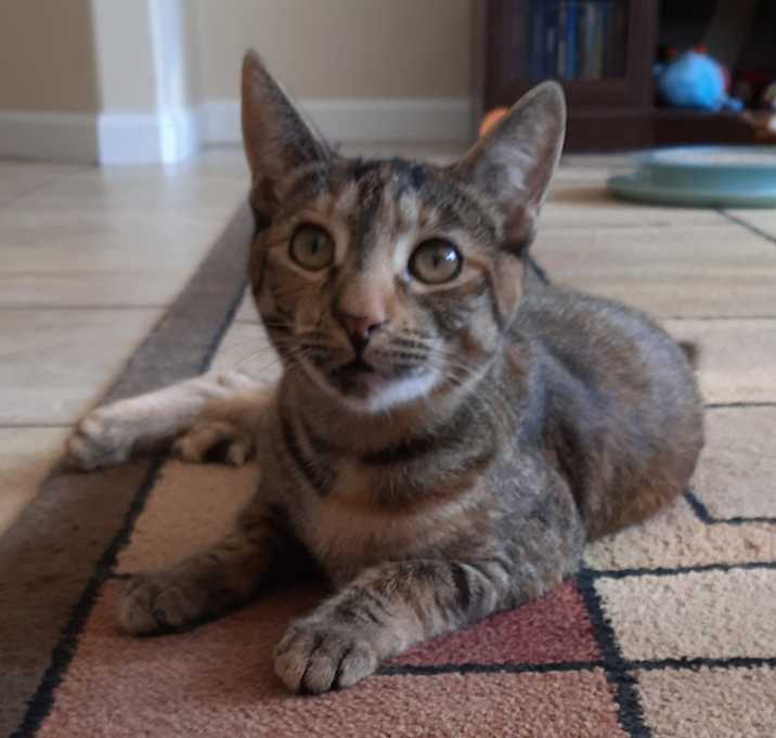 Photo of Leia