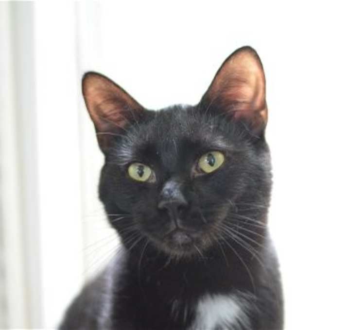 Photo of Boots