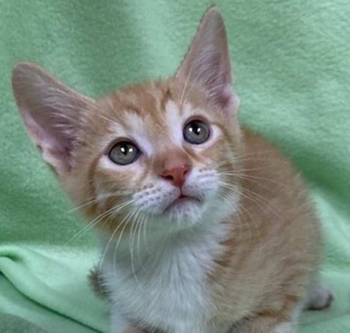 Photo of Tony