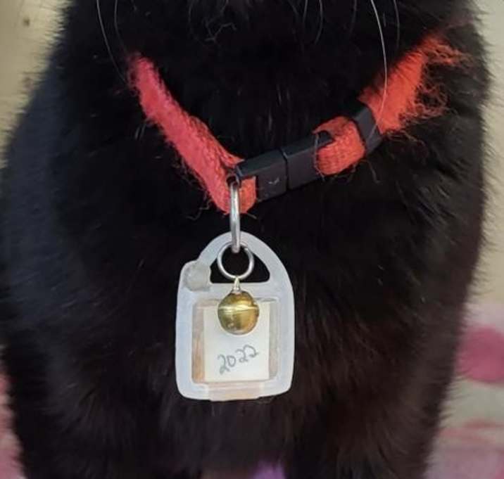 Photo of Lisa