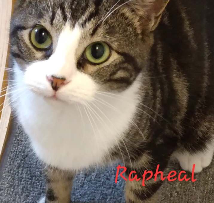 Photo of Rapheal