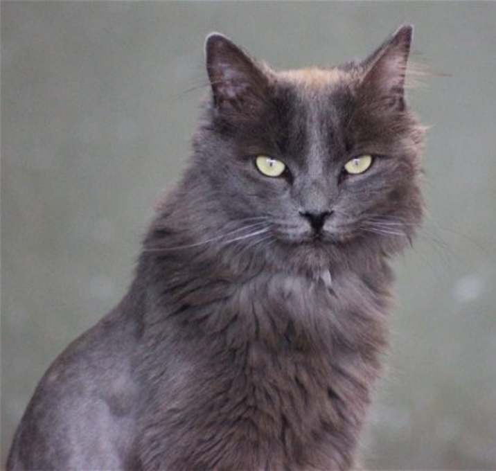 Photo of Hubbard