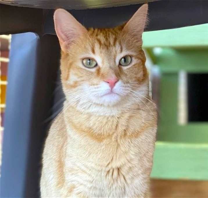 Photo of Diem