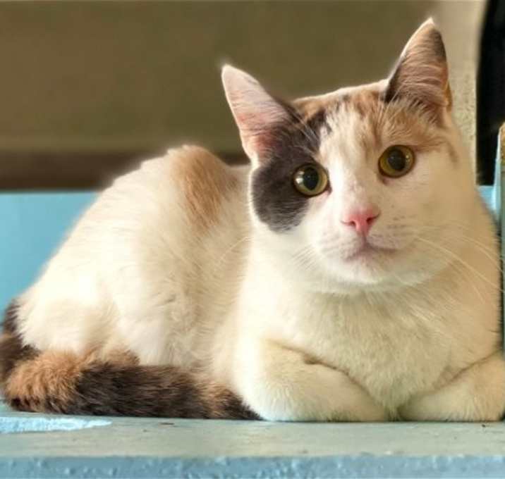 Photo of Tempo