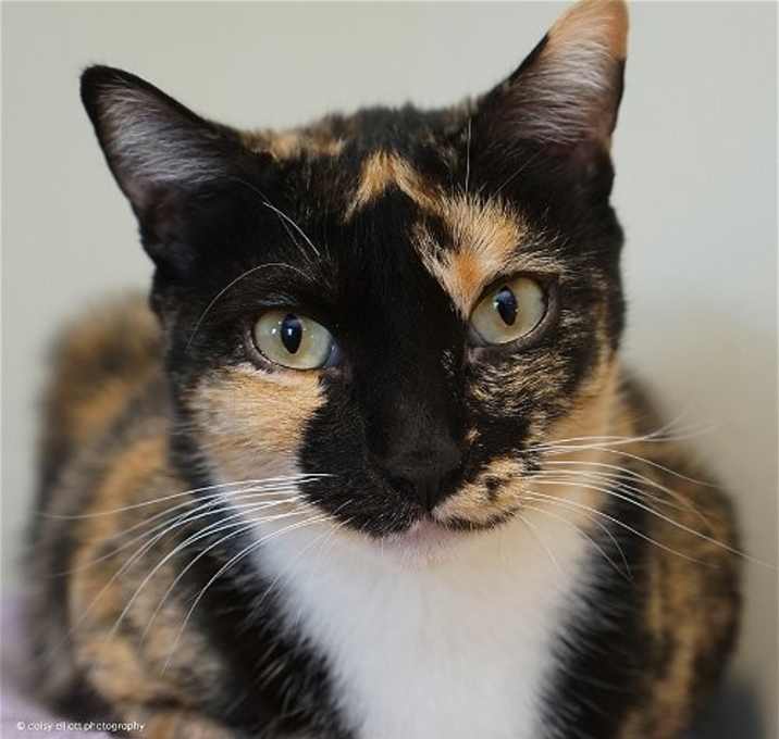 Photo of Gretchen