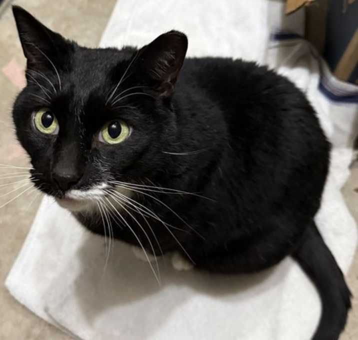 Photo of Cleo