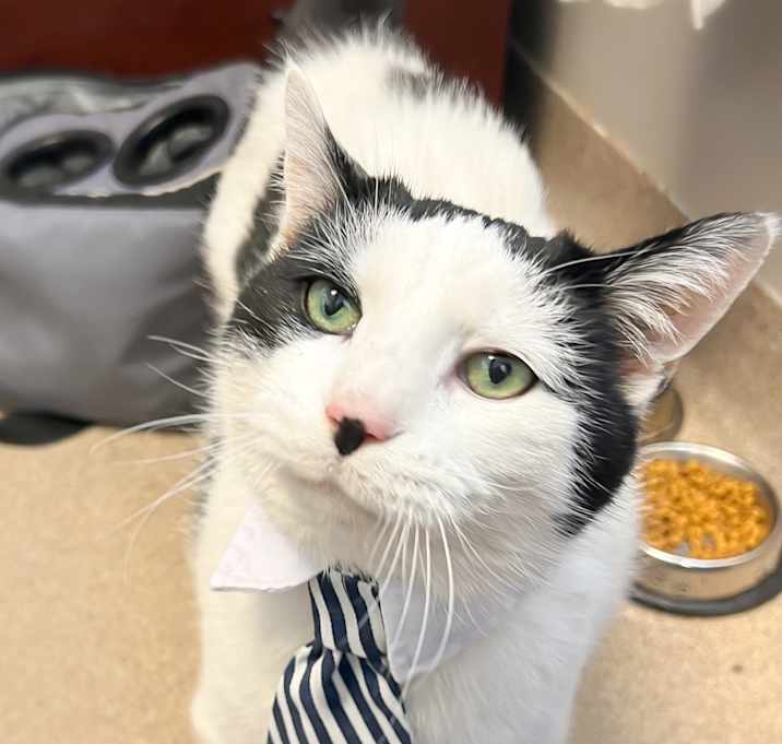 Photo of Kevin