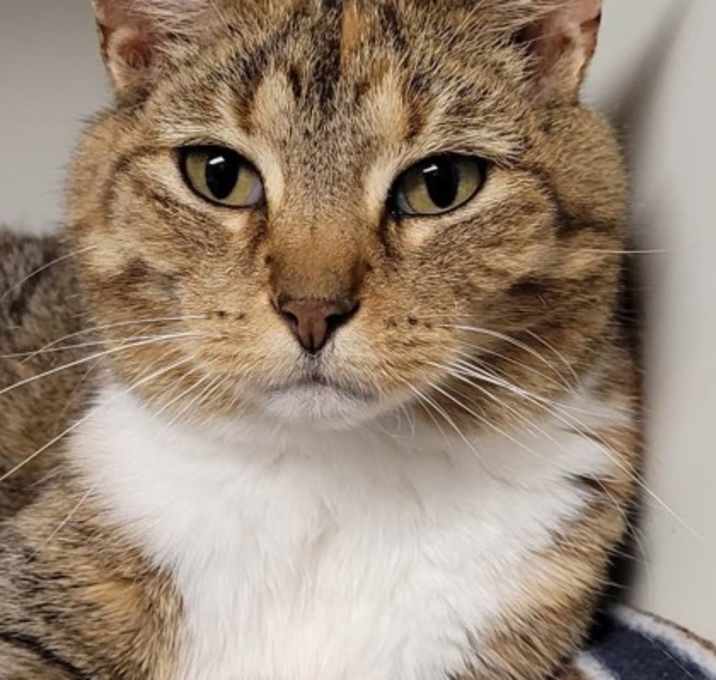 Photo of Arabella
