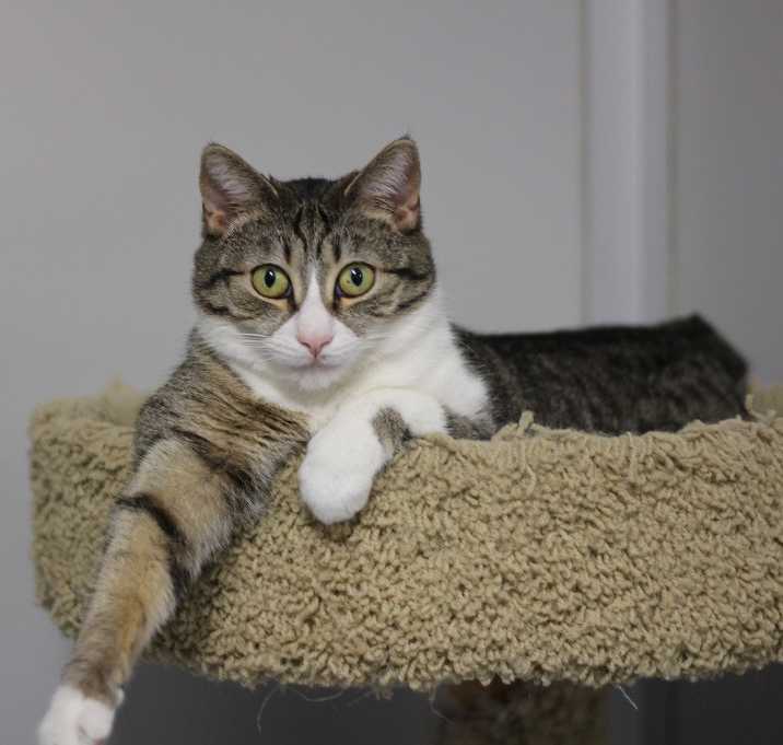 Photo of Hannah (sponsored)
