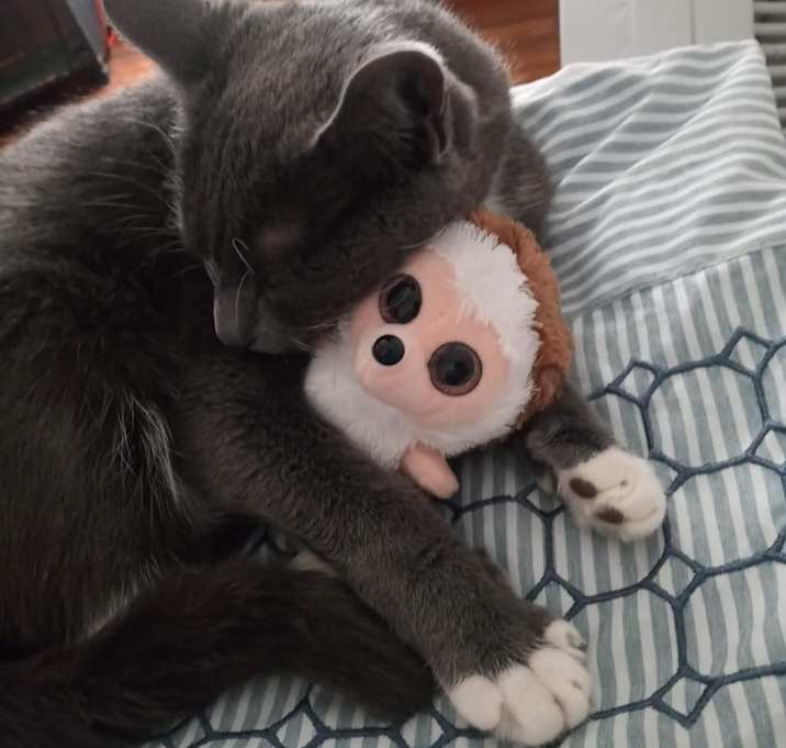 Photo of Misty