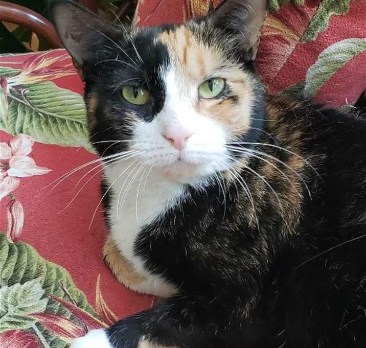 Photo of Laurel