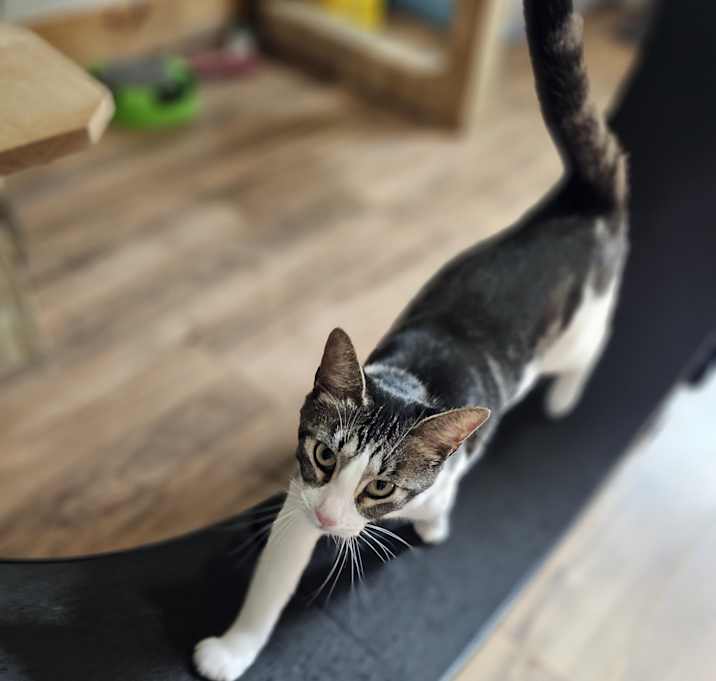Photo of Kira