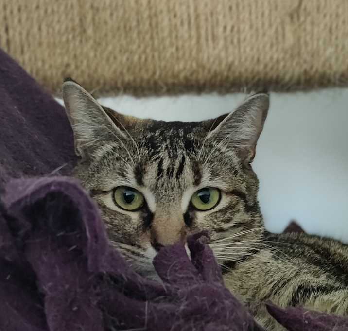 Photo of Sabine