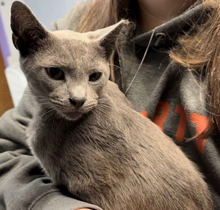 Photo of Flint
